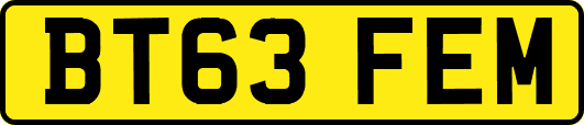 BT63FEM