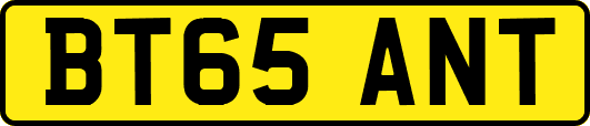 BT65ANT