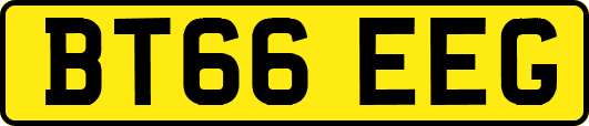 BT66EEG