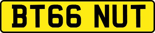 BT66NUT