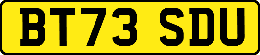 BT73SDU