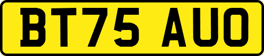BT75AUO