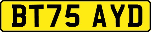 BT75AYD