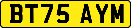 BT75AYM