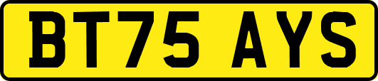 BT75AYS