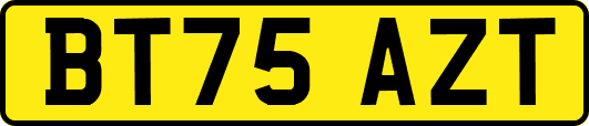 BT75AZT