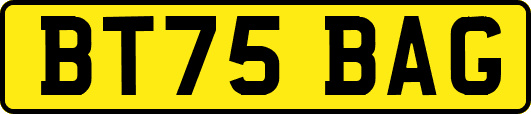 BT75BAG
