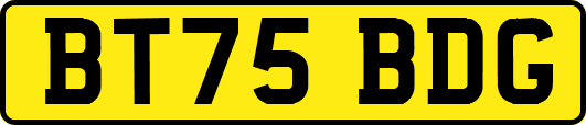 BT75BDG