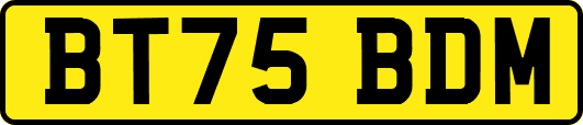 BT75BDM