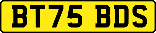 BT75BDS