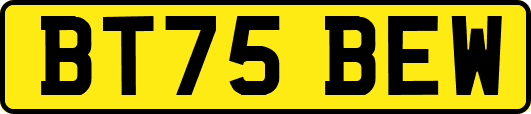 BT75BEW