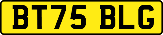 BT75BLG
