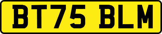 BT75BLM