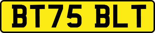BT75BLT