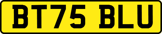 BT75BLU