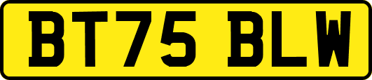 BT75BLW