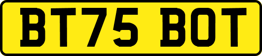 BT75BOT