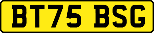 BT75BSG