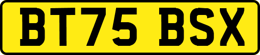 BT75BSX