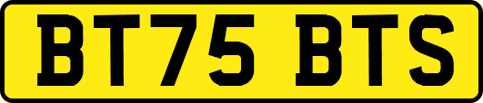 BT75BTS