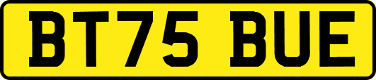 BT75BUE