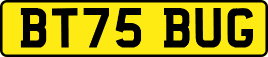 BT75BUG
