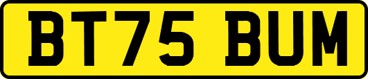 BT75BUM