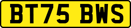 BT75BWS