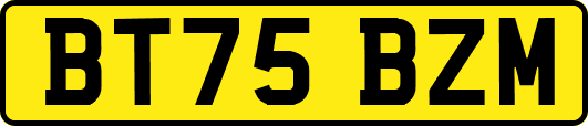 BT75BZM