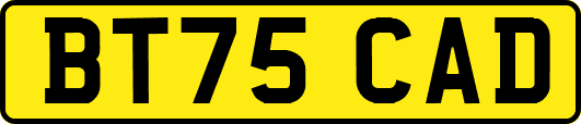BT75CAD
