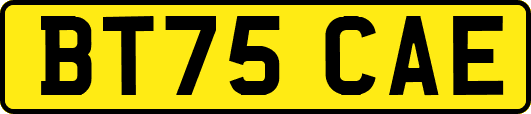 BT75CAE