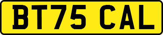 BT75CAL
