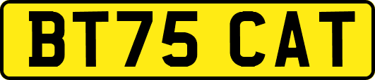 BT75CAT