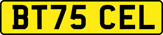 BT75CEL