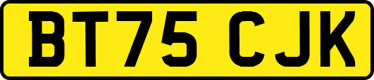 BT75CJK