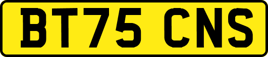 BT75CNS