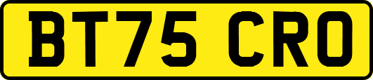 BT75CRO