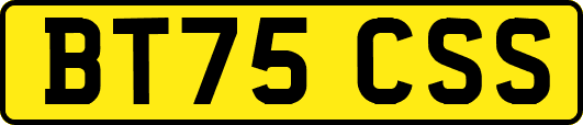 BT75CSS
