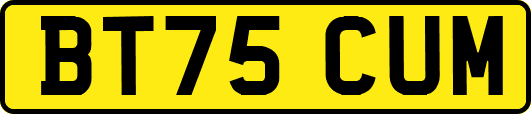 BT75CUM