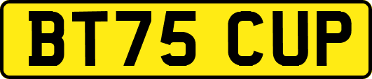 BT75CUP