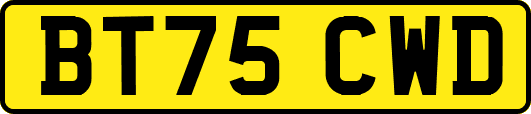BT75CWD