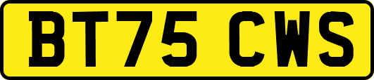 BT75CWS