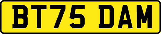 BT75DAM