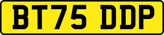 BT75DDP