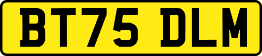 BT75DLM