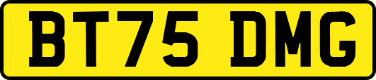 BT75DMG