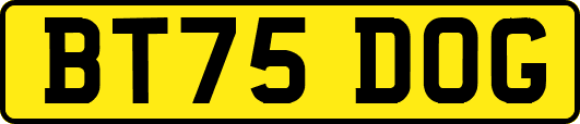 BT75DOG