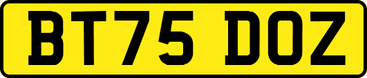 BT75DOZ