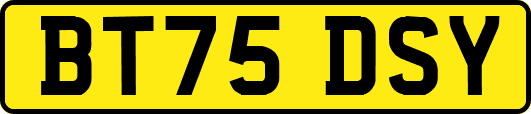BT75DSY