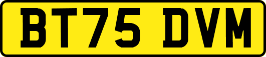 BT75DVM